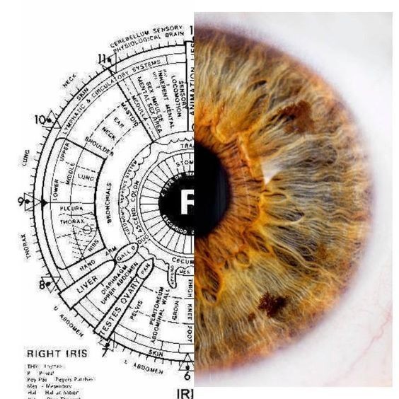 Iridology